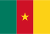 Drapeau Cameroun